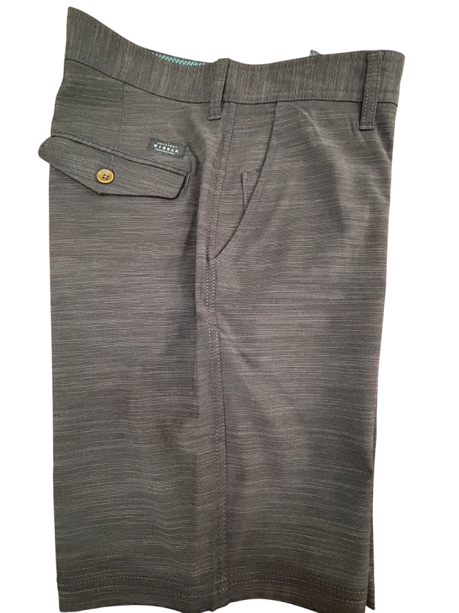 VISSLA - Hybrid